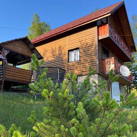 Сімейний Котедж Краєвид Mykulytjyn Exteriör bild